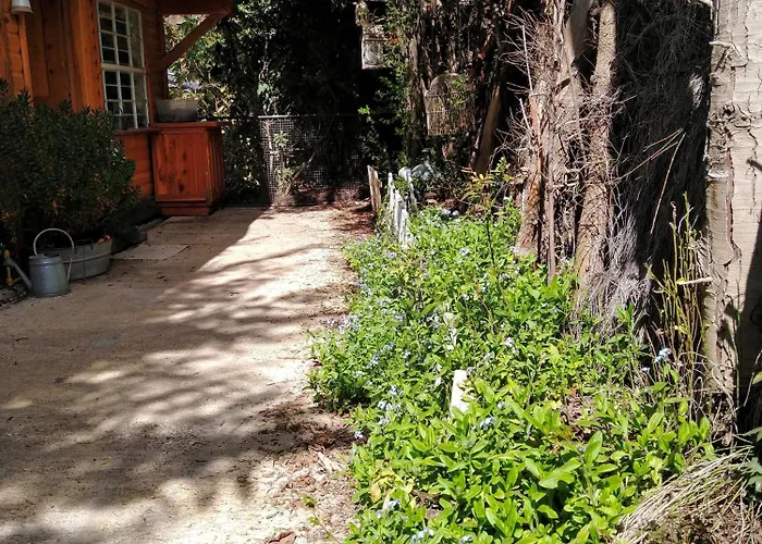 La Carlina Casa De Montana